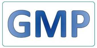 GMP Logo 2021