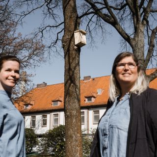 Nistkaesten1