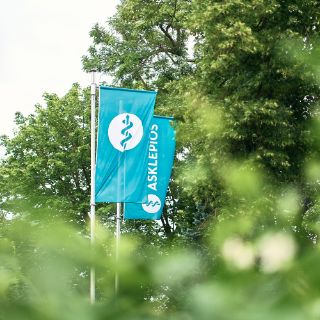 Asklepios_Fahnen